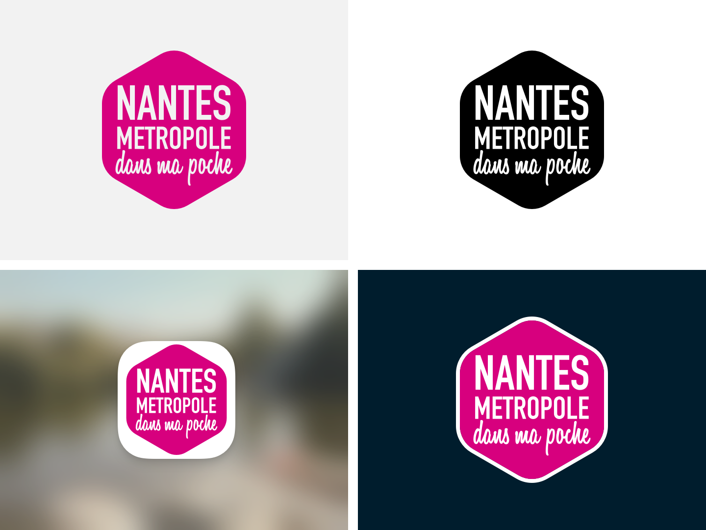 Déclinaison icone app Nantes Métropole dans ma Poche